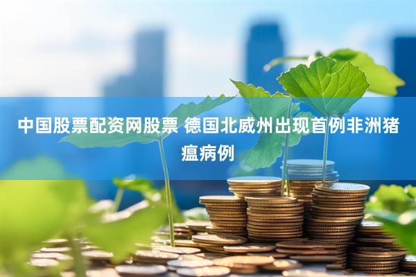 中国股票配资网股票 德国北威州出现首例非洲猪瘟病例