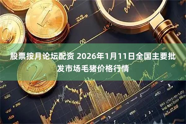 股票按月论坛配资 2026年1月11日全国主要批发市场毛猪价格行情